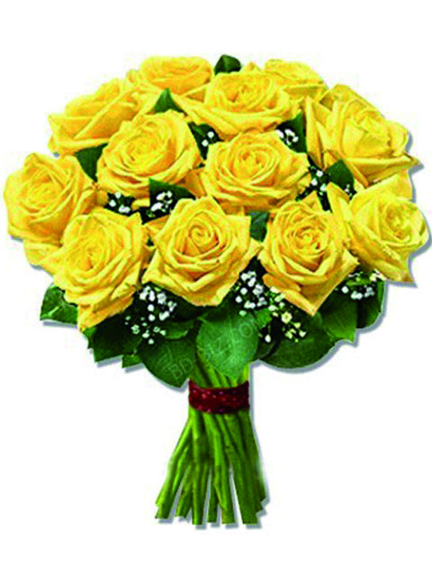 12 rose gialle