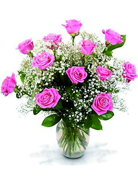 12 rose rosa