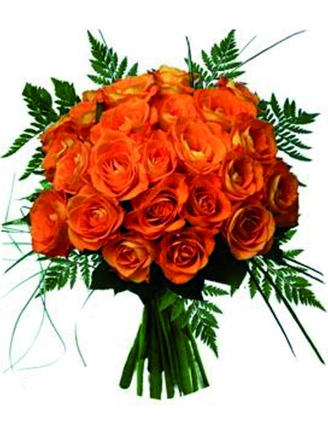 24 rose arancio