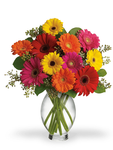 bouquet di gerbere colorate