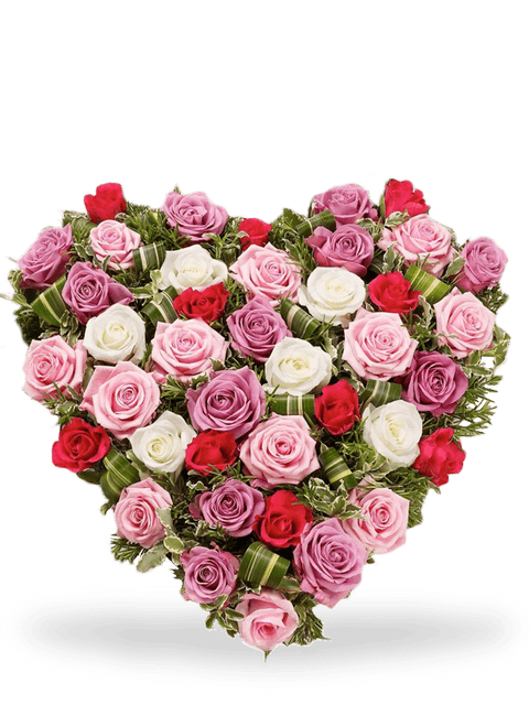 cuore di rose rosse e bianche