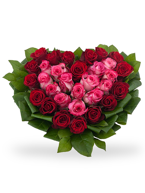 cuore di rose rosse e rosa