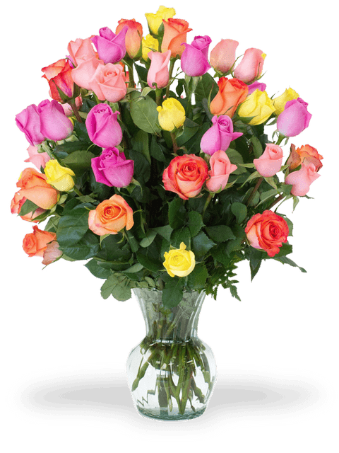 mazzo di rose colorato