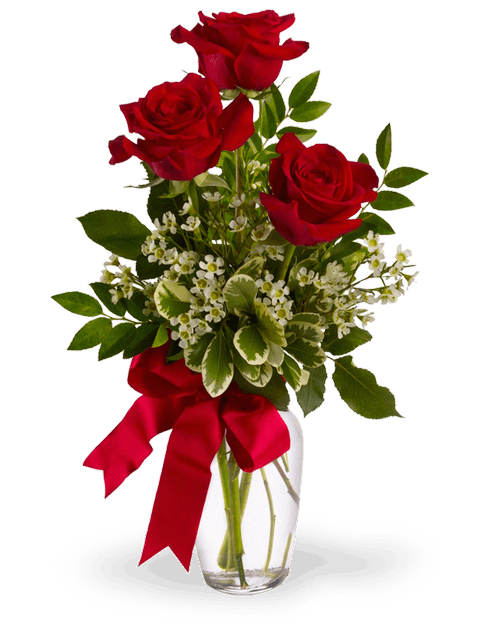 tre rose rosse
