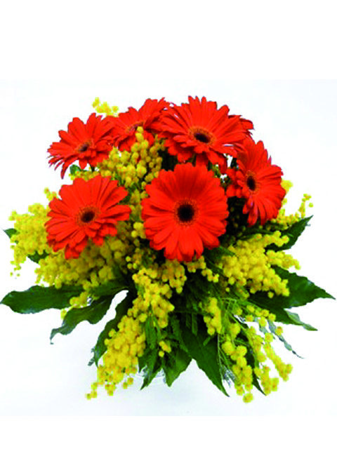 bouquet di gerbere e mimosa