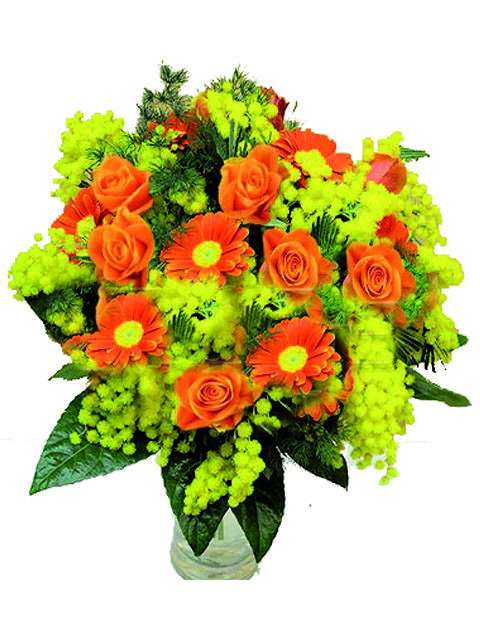 bouquet rose gerbere con mimosa