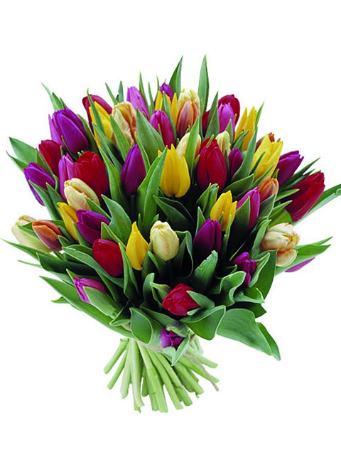 bouquet di tulipani colore