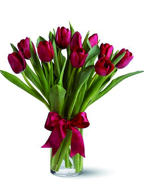 bouquet di tulipani rossi