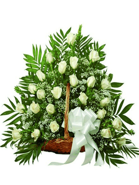 cesto di rose bianche