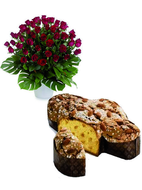 colomba di Pasqua e 50 rose rosse