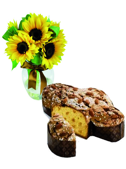 una colomba e 3 girasoli