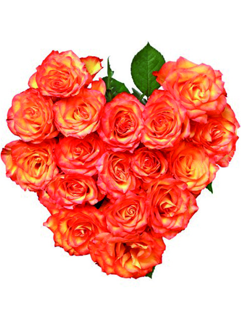 cuore di rose arancio