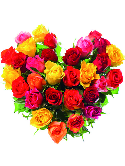 cuore di boccioli di rose colorate