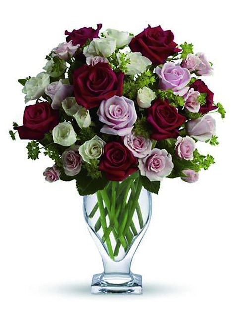 rose rosse bianche e rosa