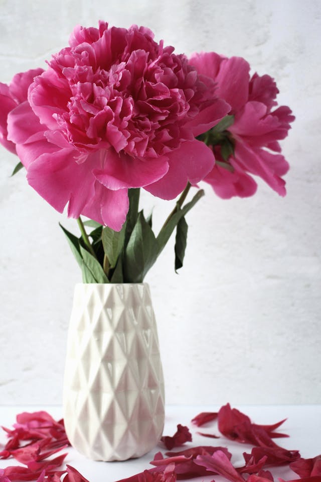 quali fiori scegliere per una nascita