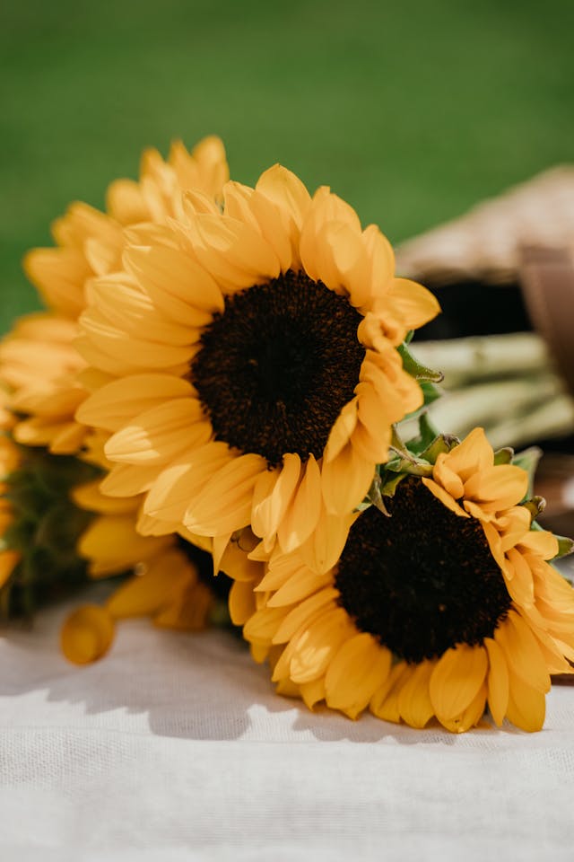 bouquet di fiori bellissimi