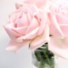 gipsofila per bouquet